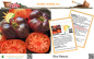 Preview: Tomate * Blue Beauty * 20 Samen